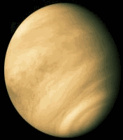 Venera
